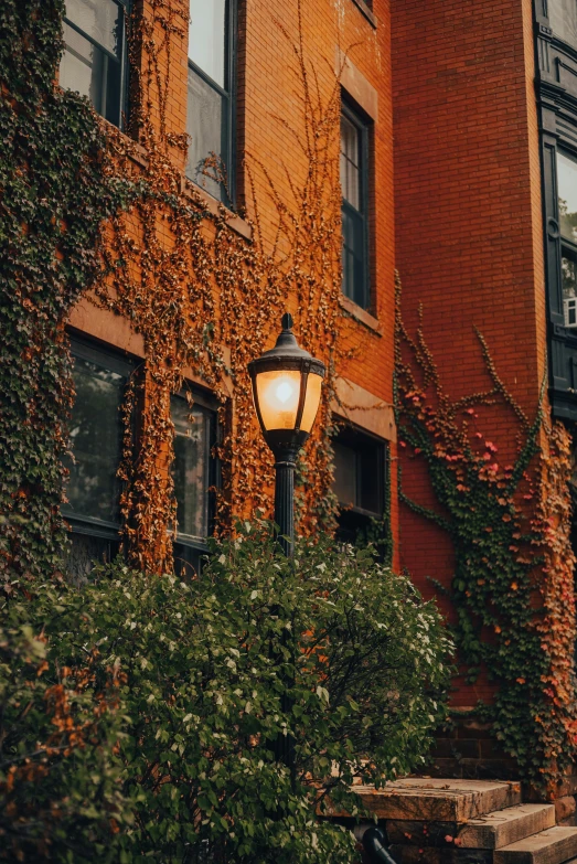 a lamp post sitting next to a row of tall buildings