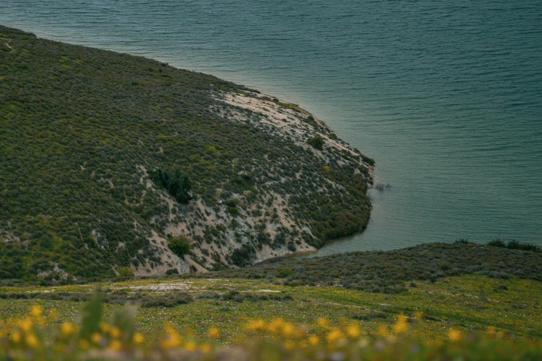 a bird sitting on a cliff on a very scenic day