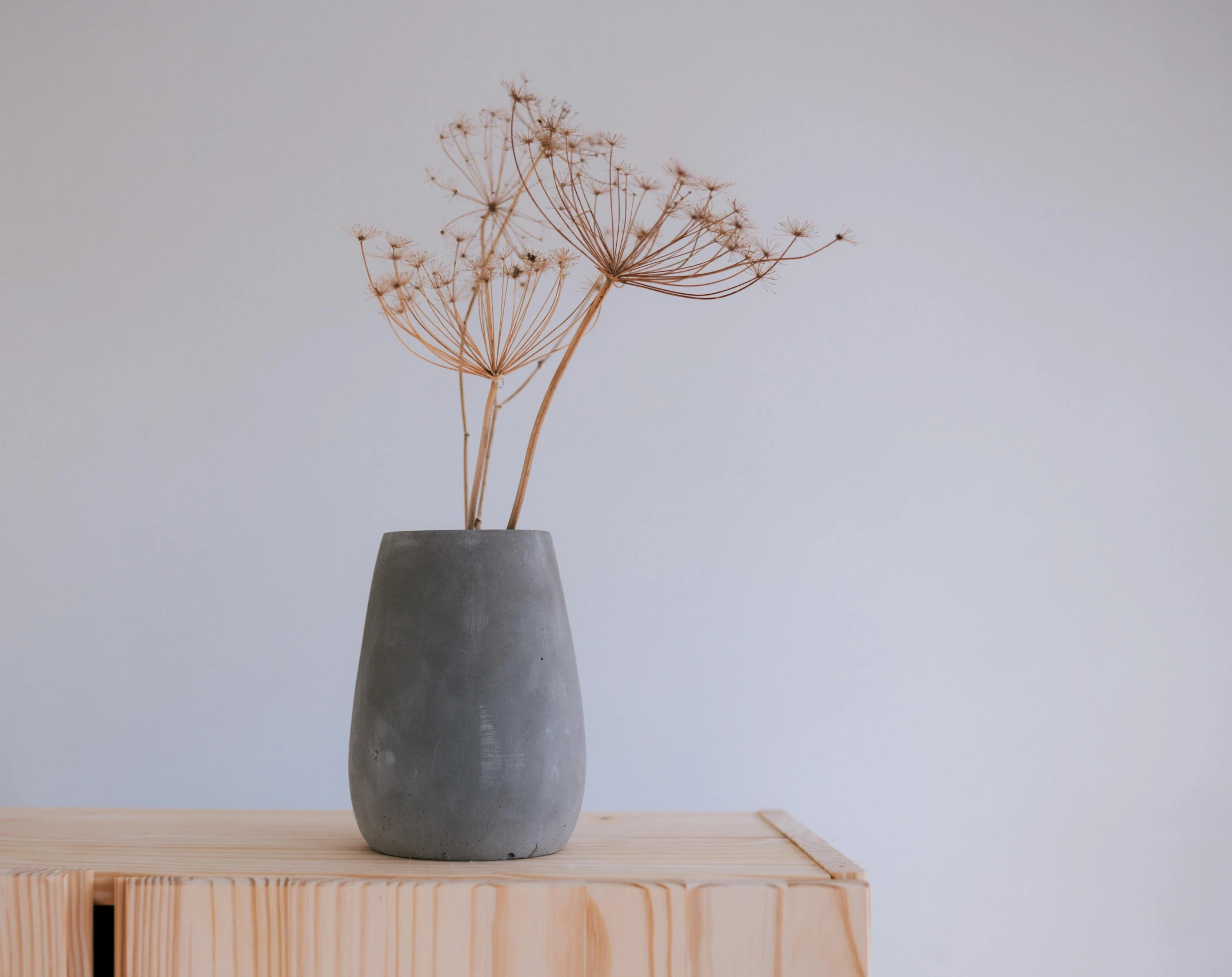 three flowers growing in a grey vase sitting on a table