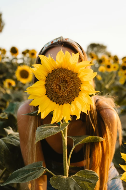 a woman's head is covering her eyes behind a large sunflower