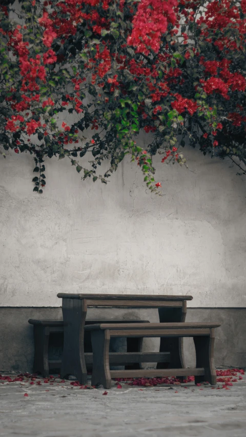 a wooden bench with no table and chairs with red flowers hanging over it