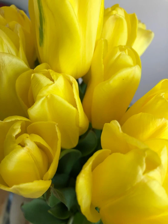 yellow flowers are arranged in the vase outside