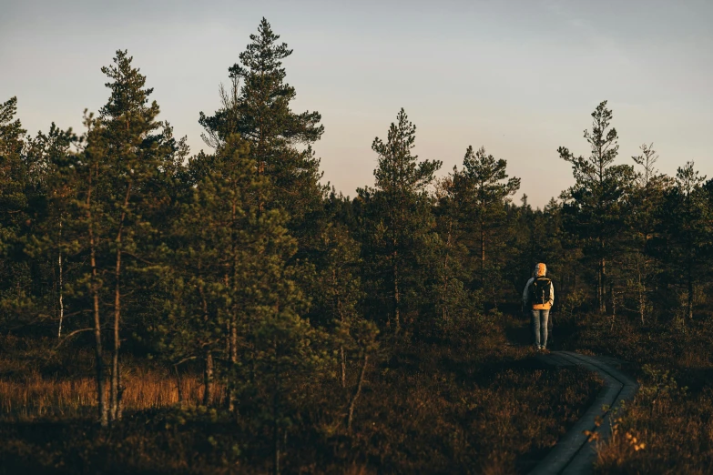 the person is walking on the trail through the trees