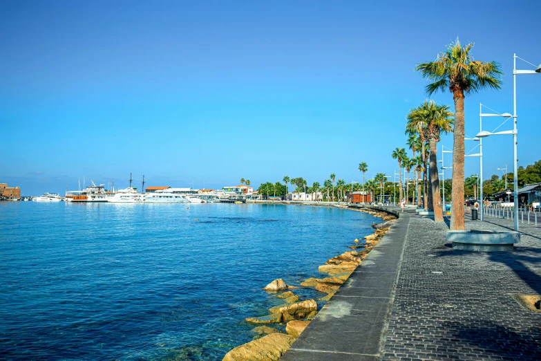 a river with lots of water and palm trees