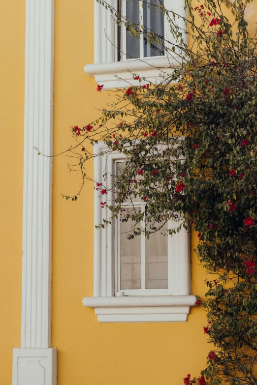 the white trim on the windows of a yellow building