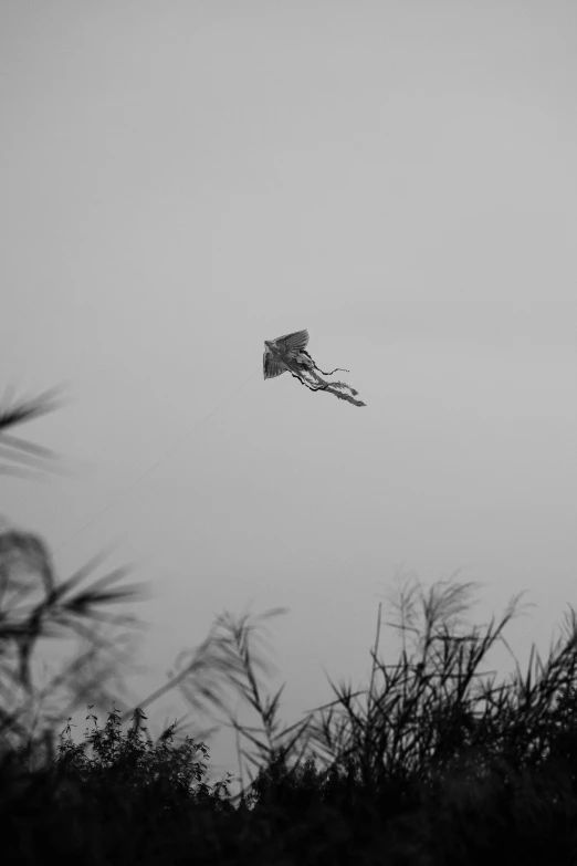 someone flying a kite in the air on a cloudy day