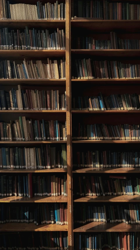 a row of books sitting on top of a book case