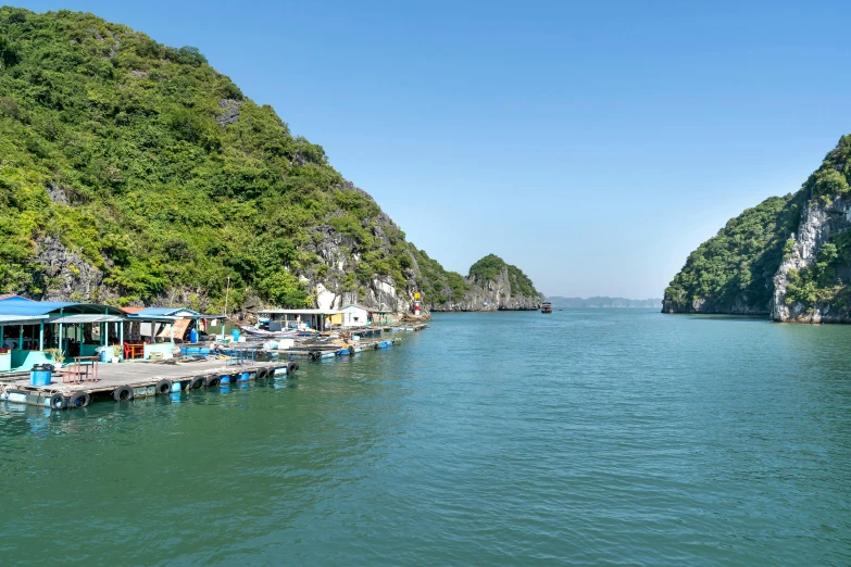 a harbor filled with lots of boats surrounded by forest