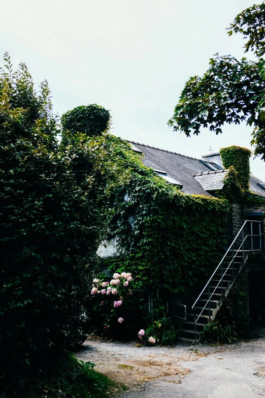 a house with plants growing on the roof and stairs up to it