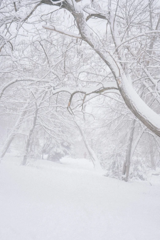 a person skiing down a snowy slope in the winter