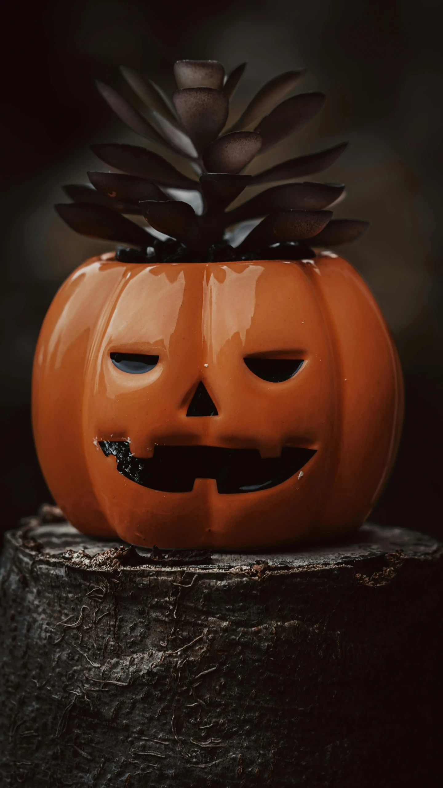 an orange pumpkin carved into a face with pineconing on top