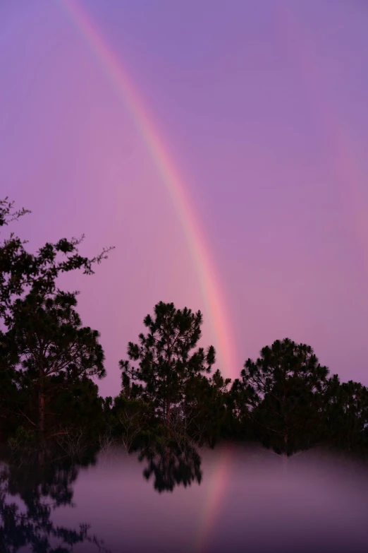 a rainbow in the sky next to trees