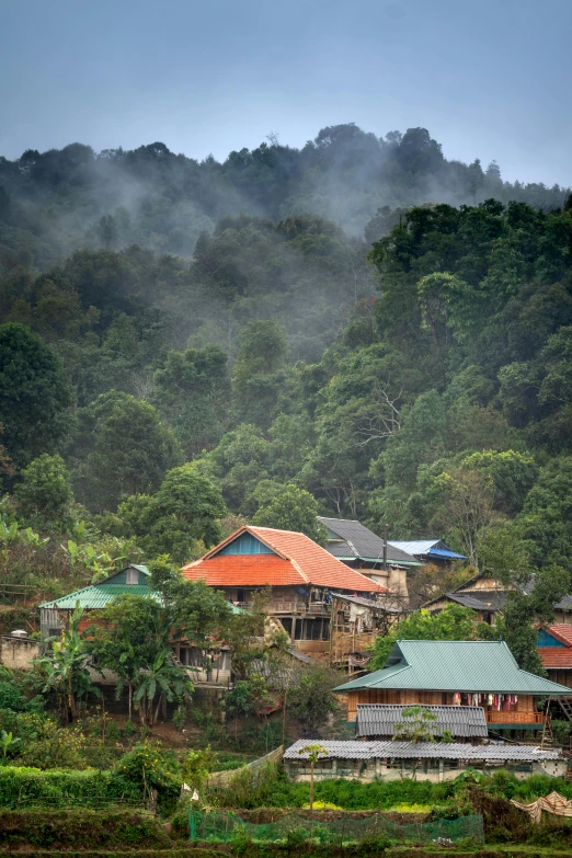 some buildings in the middle of a jungle