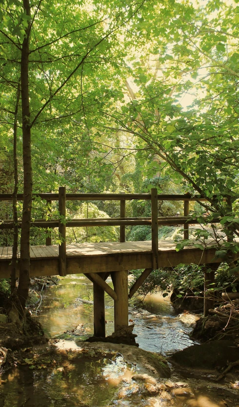 an empty bridge crosses a stream in the woods