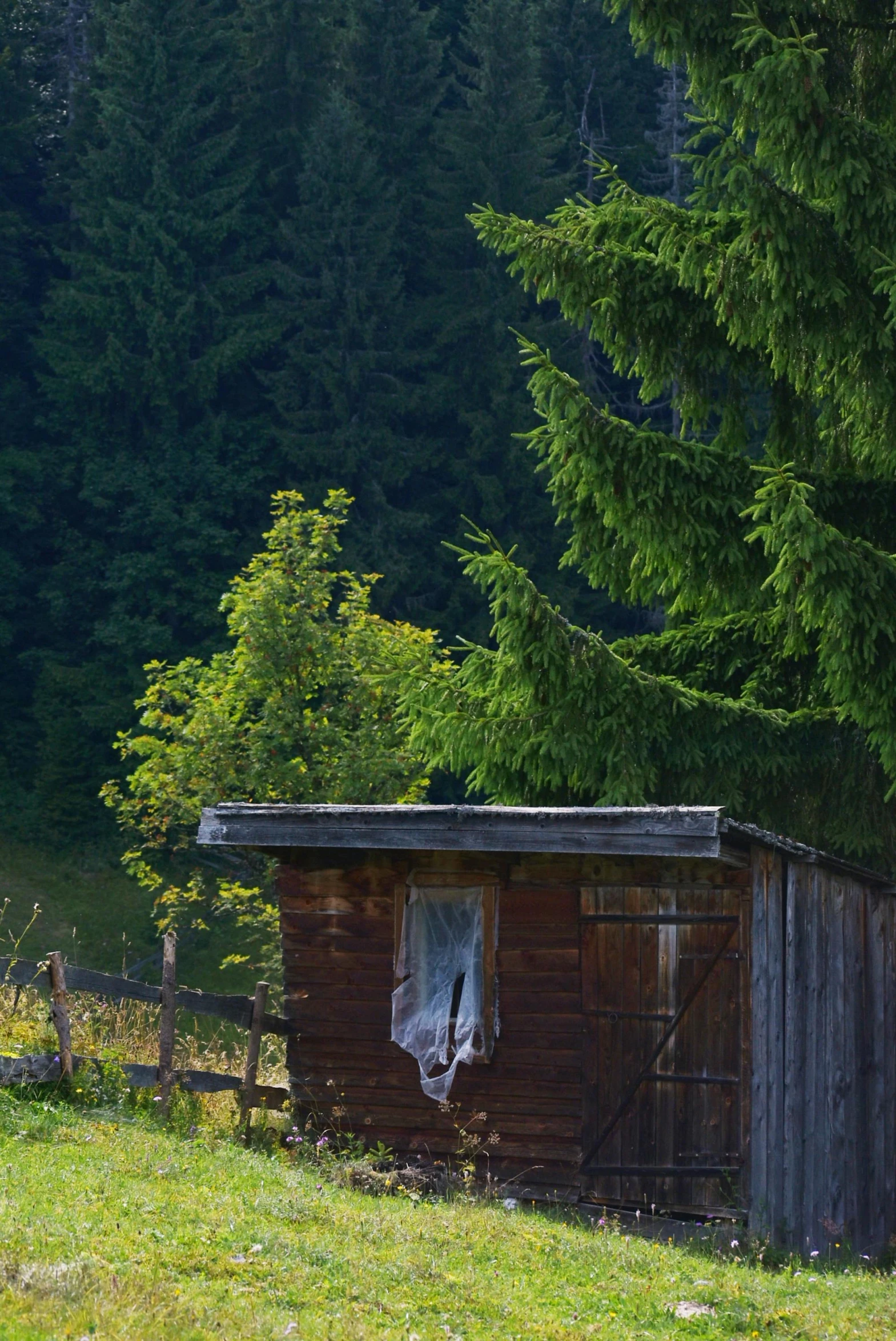 a cabin with a green roof and two trees