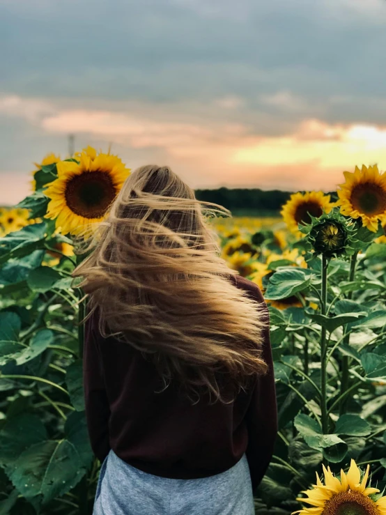 the back of a woman in a dress standing in a sunflower field