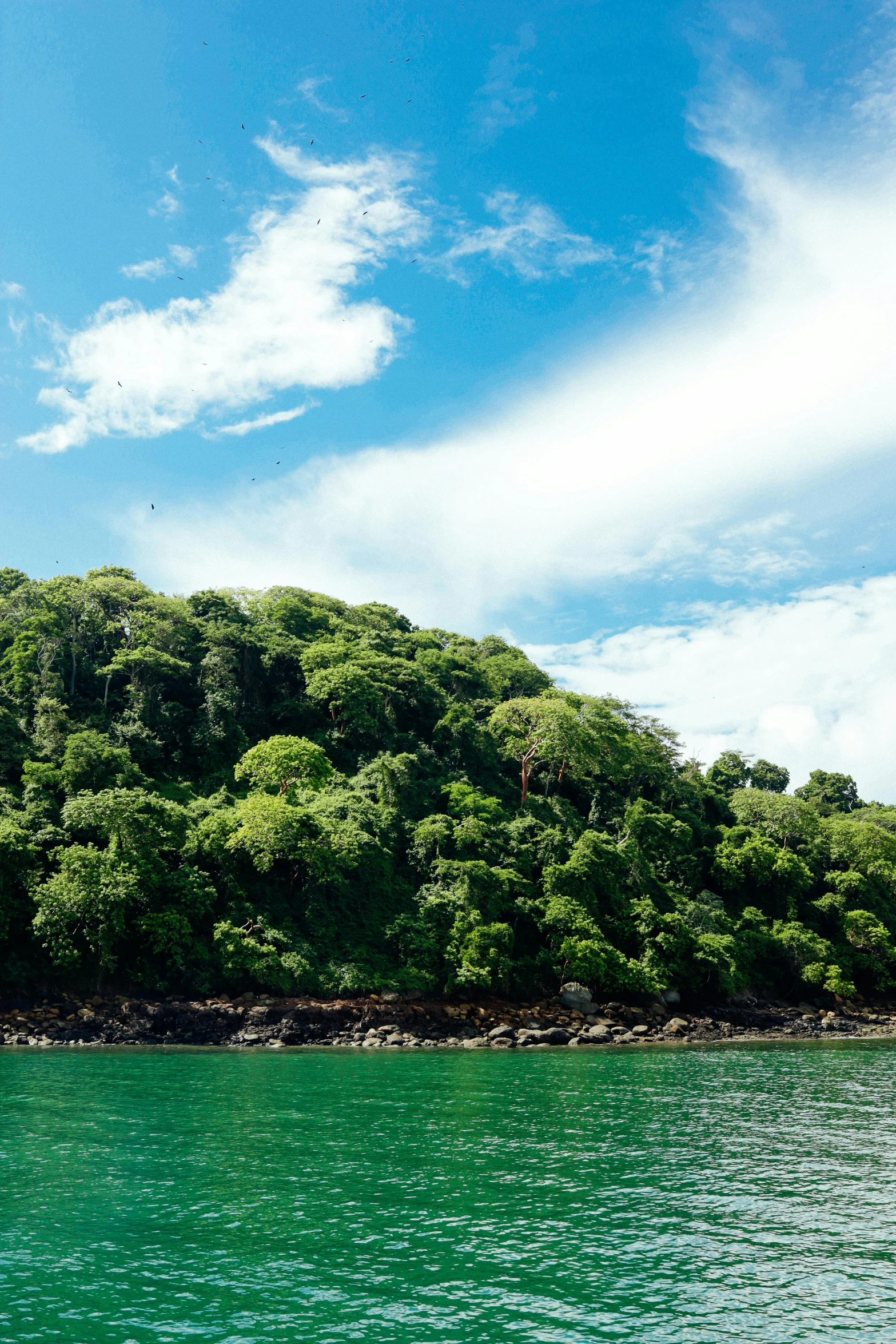 green trees and hills are seen above the blue water