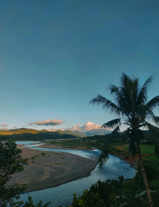 there is a view of a river and trees