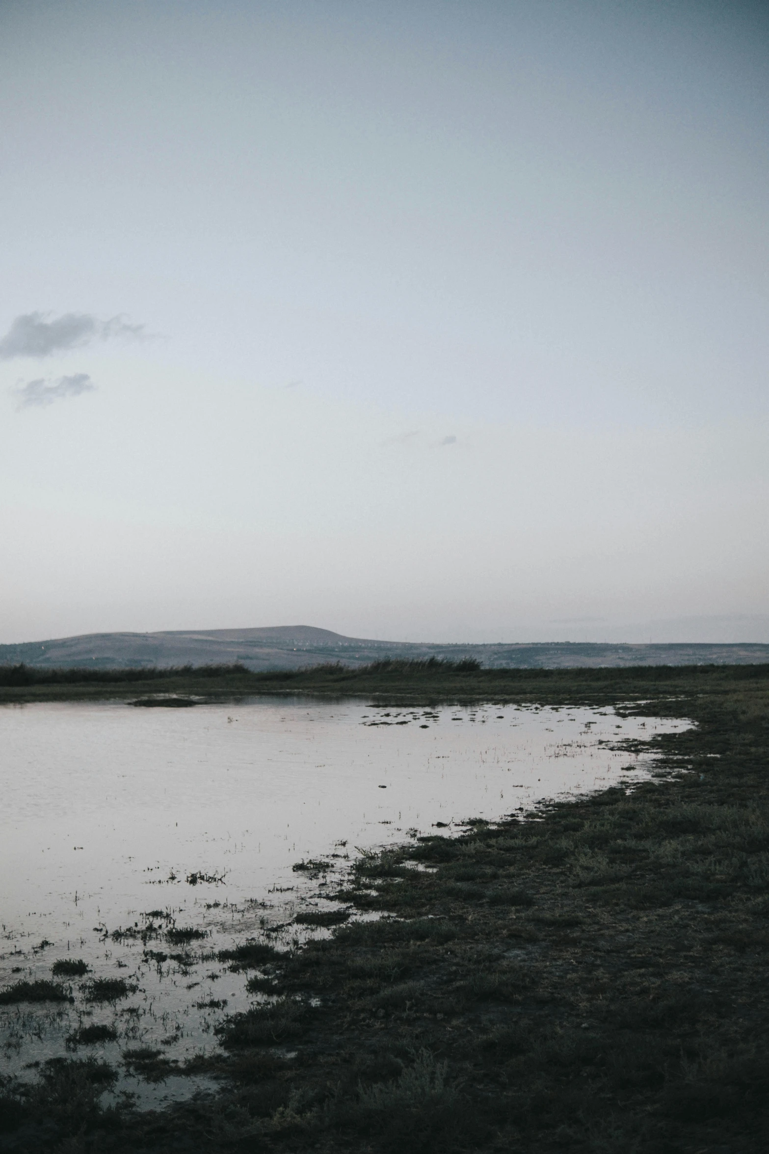 the water looks dark and calm in this po