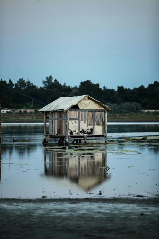 the boathouse is almost in the water with no windows