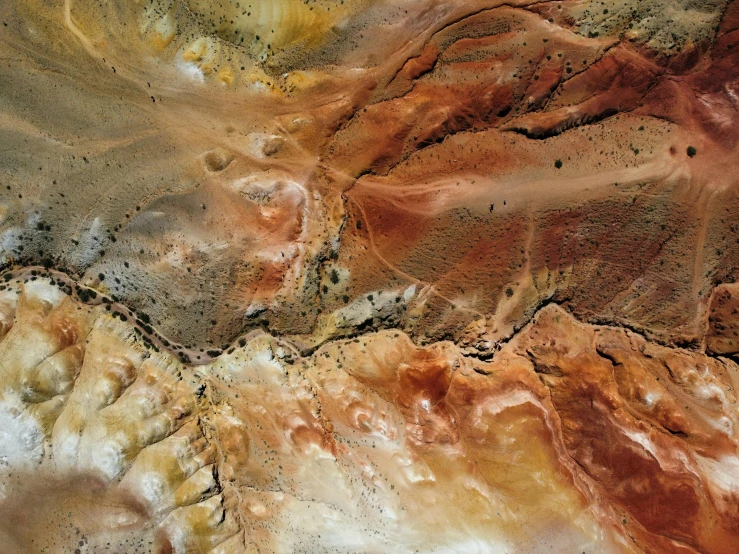 close up of a rock with white, yellow and brown colors