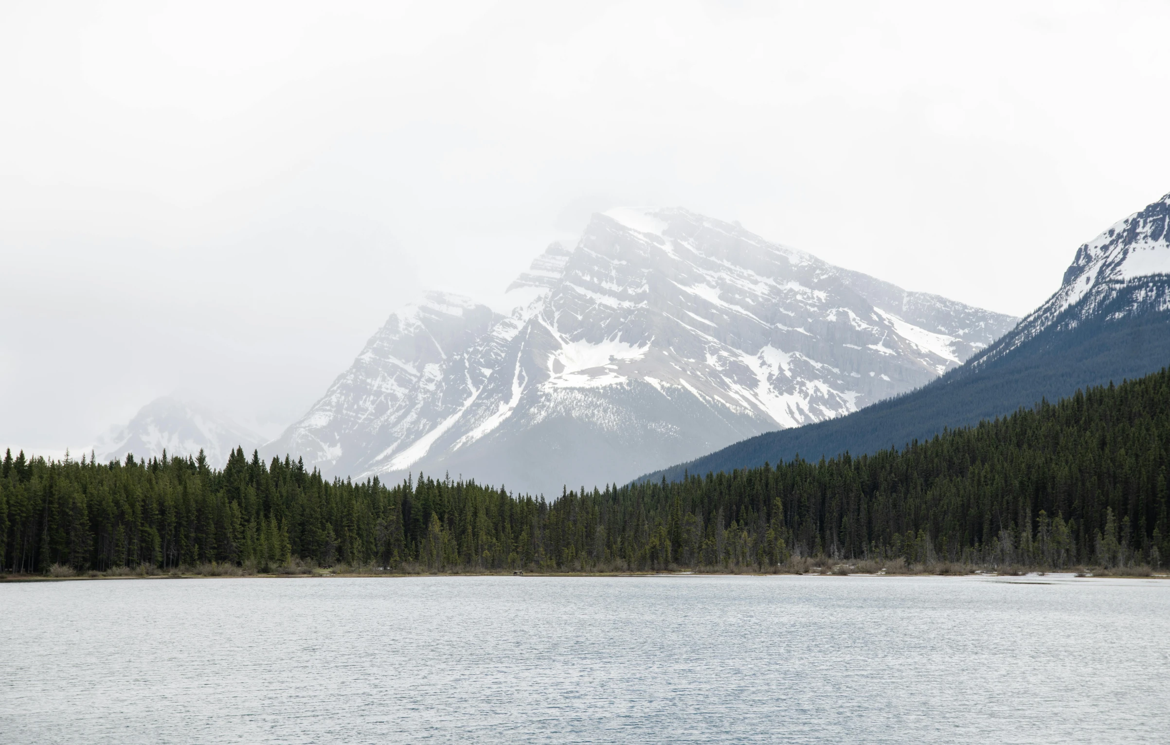 mountains with trees and a lake surrounded by water