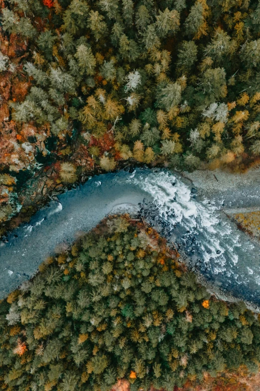 an aerial s of the river surrounded by trees