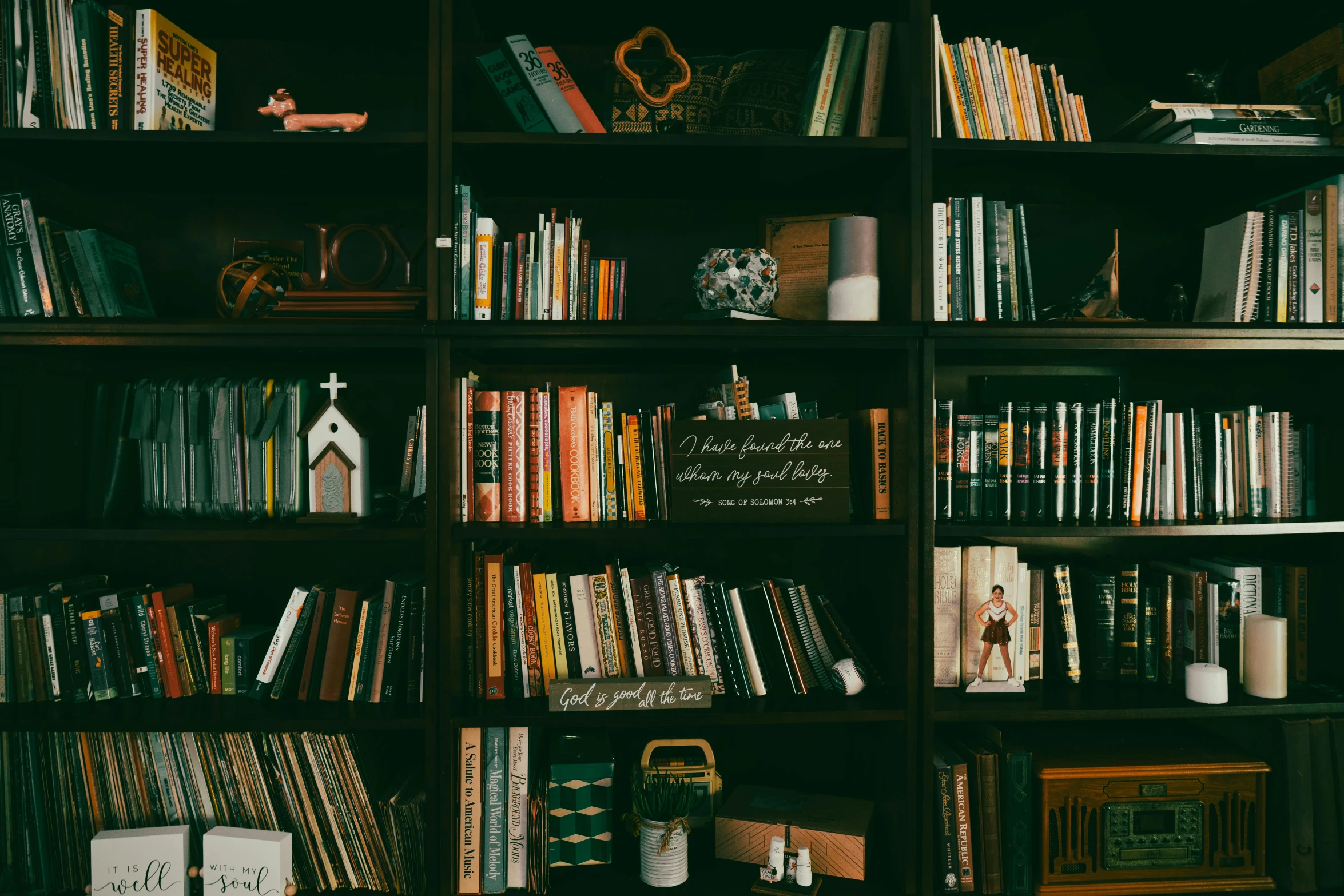 some books and pictures on a black bookcase