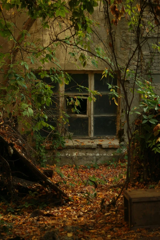 a run down house that has a broken window