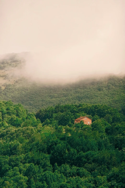 a building with a window that overlooks the trees