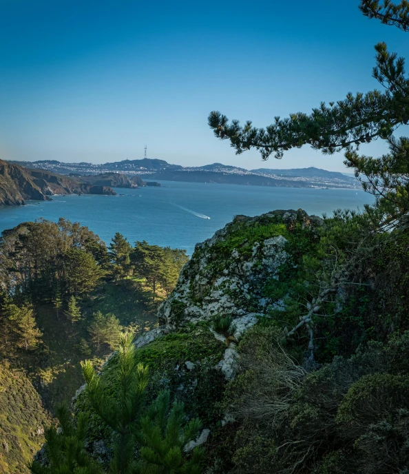 a view of the ocean from top of a hill