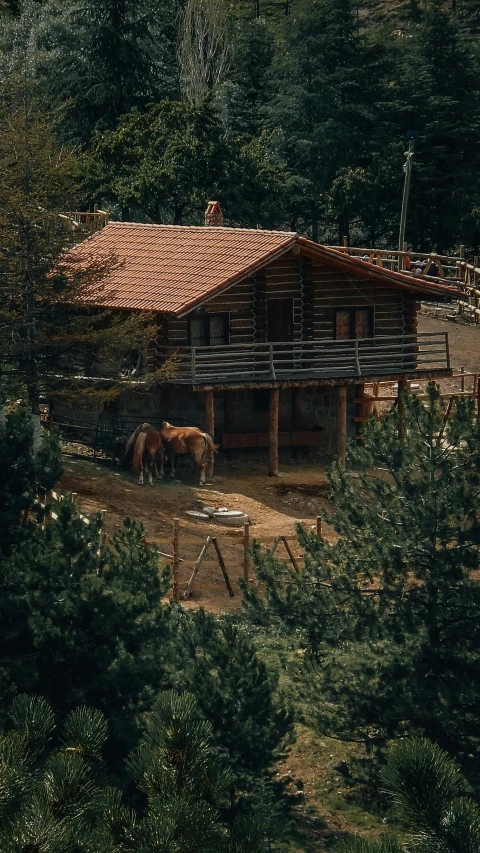 horse in front of an old wooden house surrounded by forest