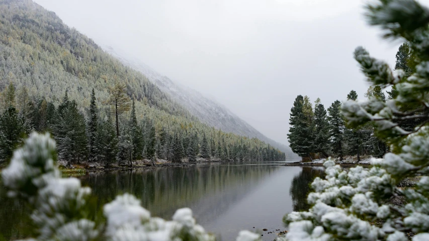 a snowy forest with lots of trees reflected in the lake