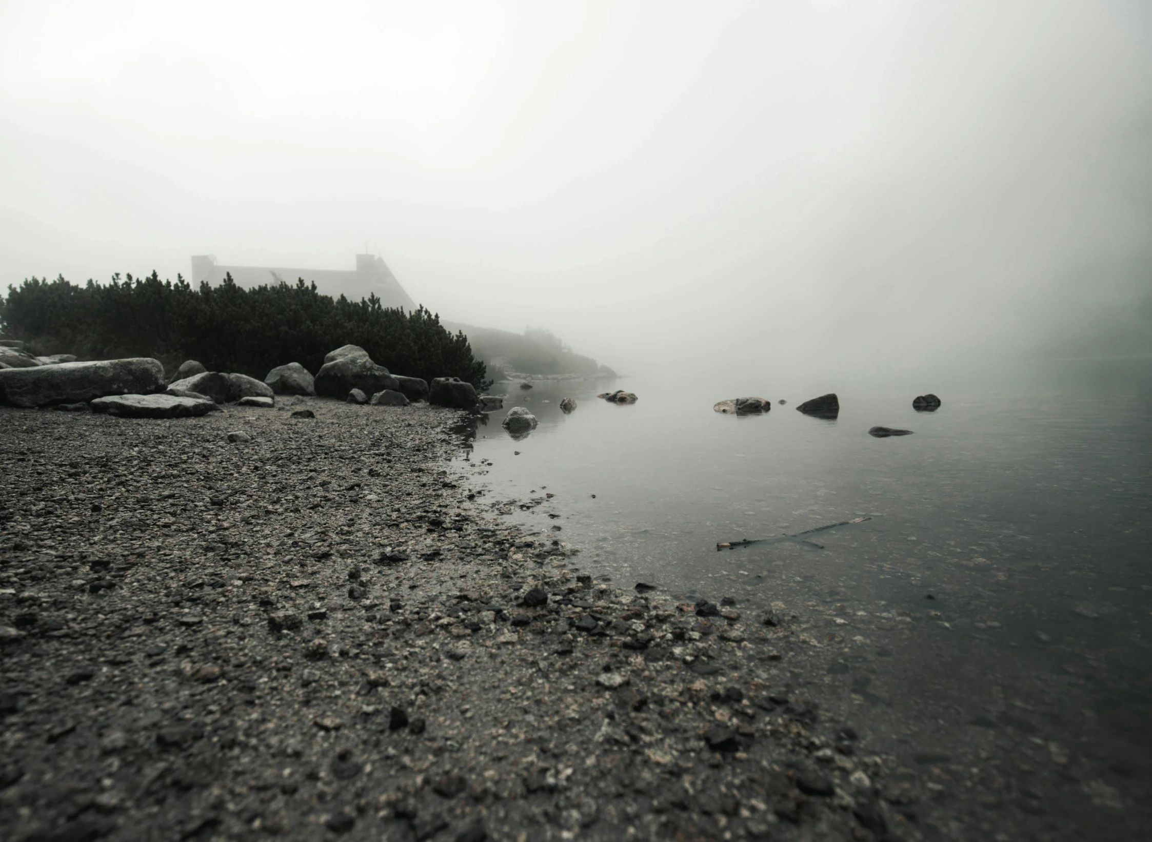 rocks in the water at the shore with trees behind them