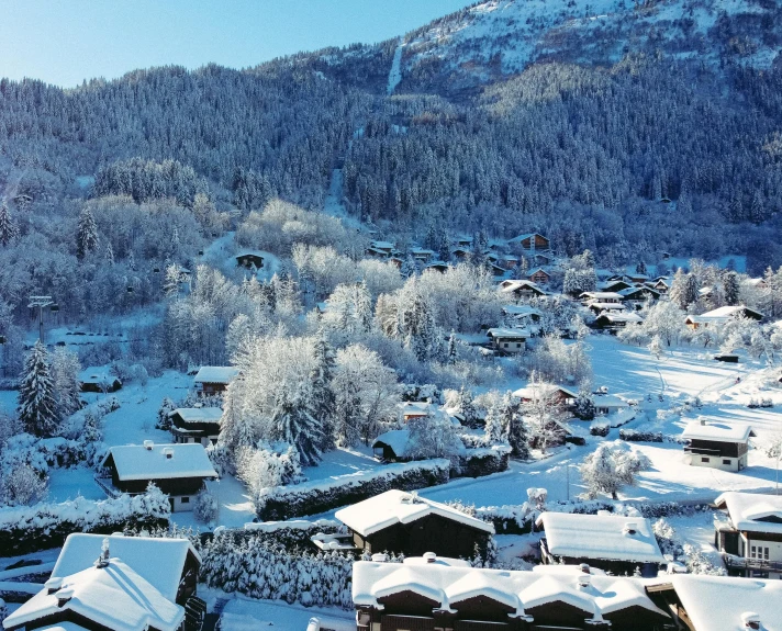 a city nestled under a snowy mountain