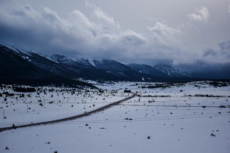 a large field with a bunch of trees in the middle