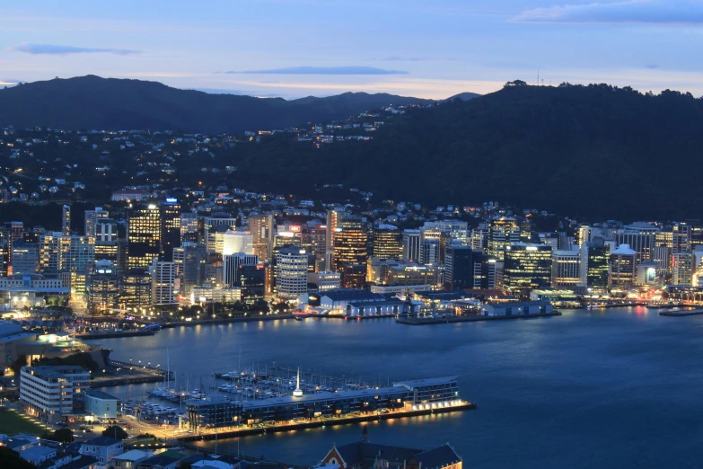 a big city by the water at night