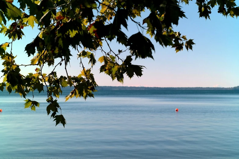 a view of the ocean with small boats in it