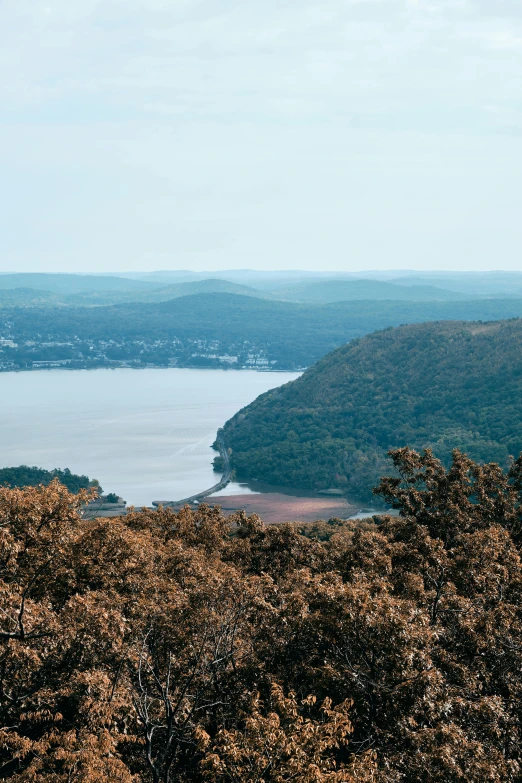 the view of a lake, mountains, and some trees