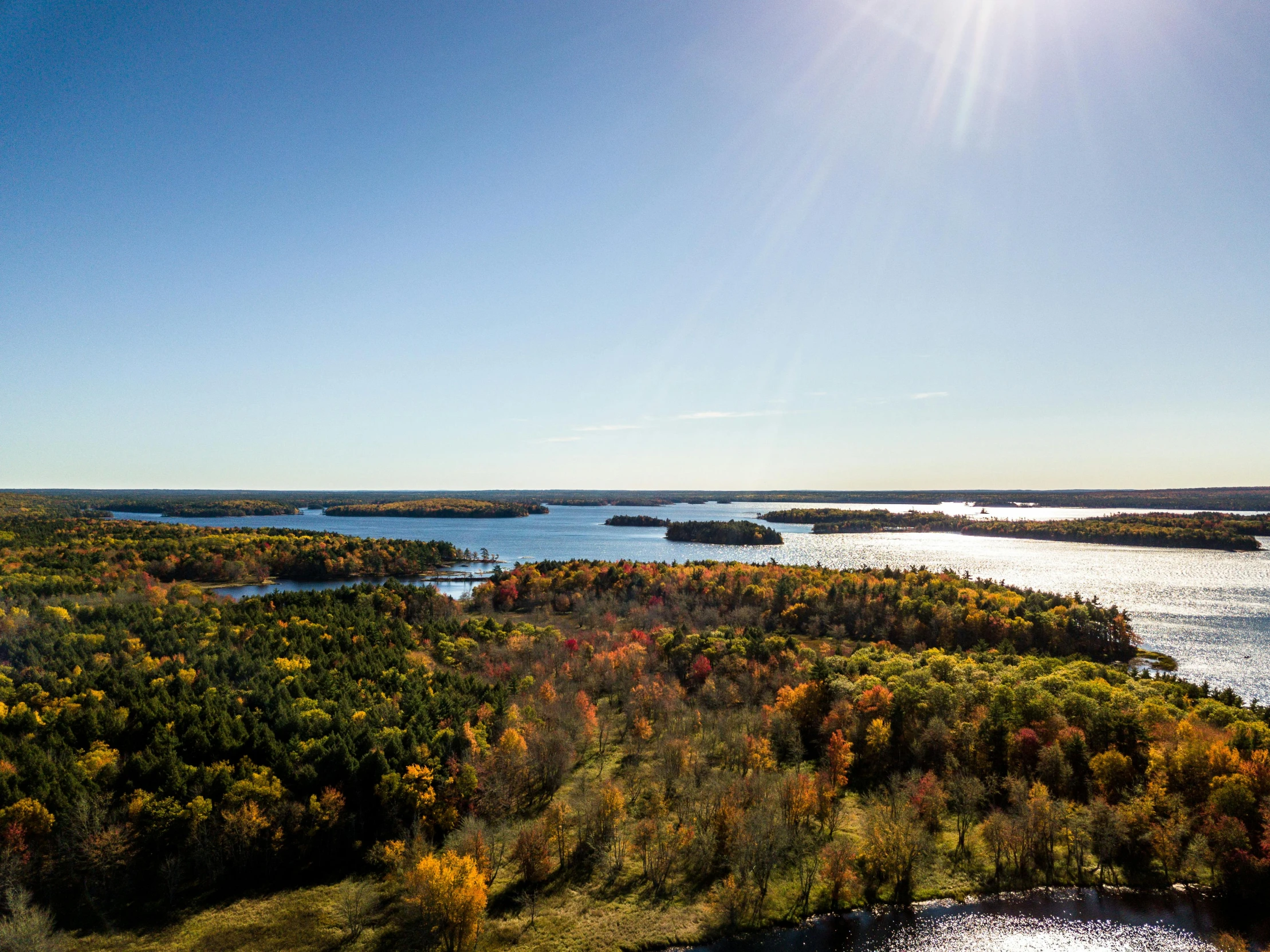 a wide open area with trees near the water