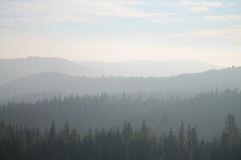 a hazy view of trees in the mountains