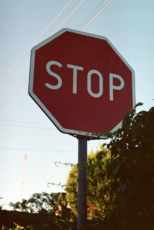 a stop sign with the words stop under a sunlit sky