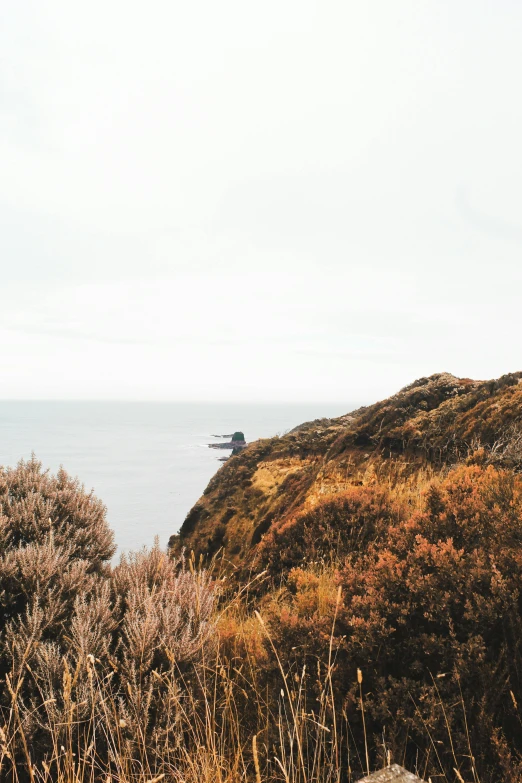 a bench on the edge of the cliff overlooks the water