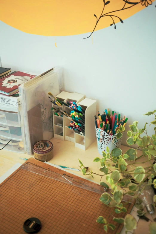 a desk area has a few boxes on the counter and pens, pencils, a book holder, a computer mouse and a green plant