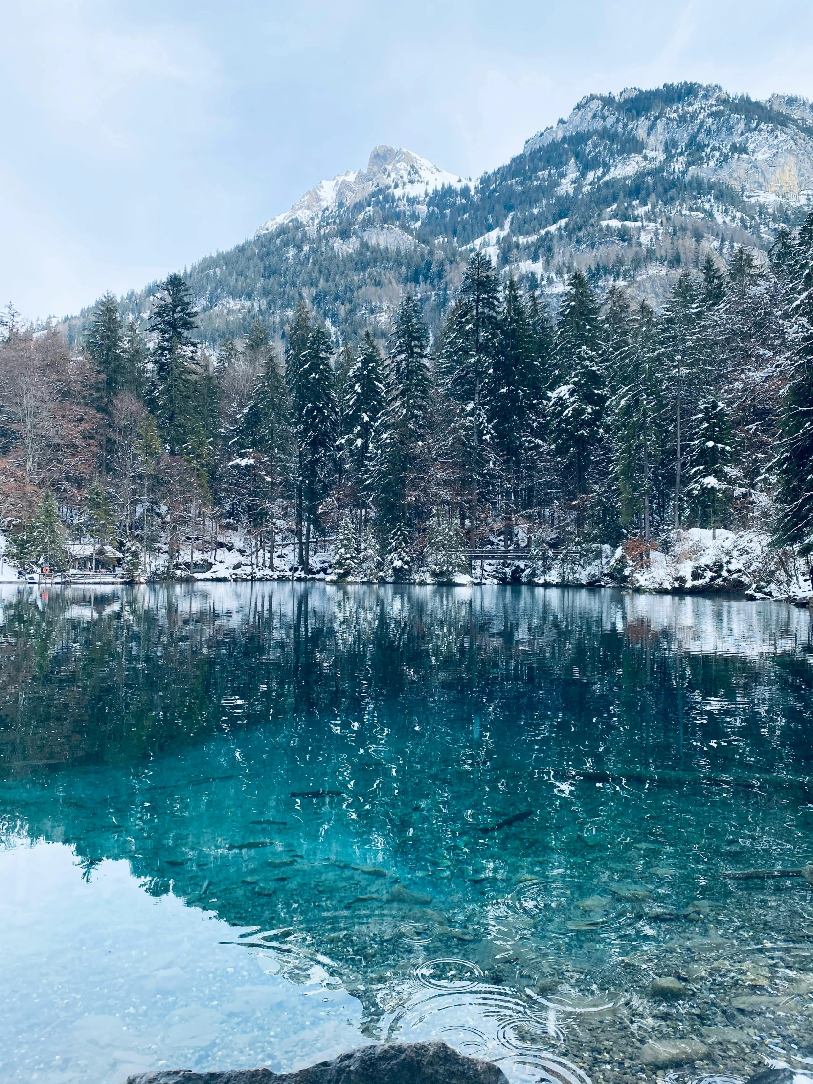 snow on trees and lake in winter with bright blue water