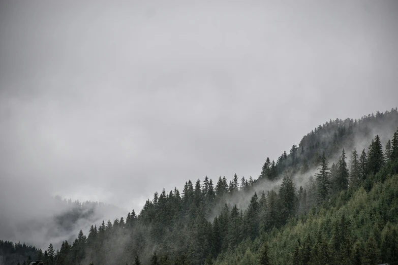 a steep forest is shown as the clouds loom over it