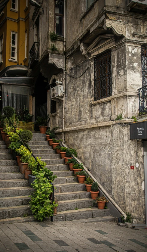 a building that has stairs with plants along it