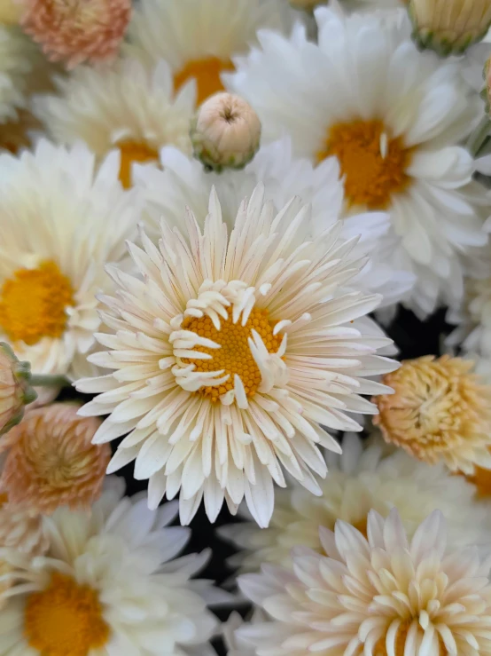 a large bouquet of flowers that are yellow and white