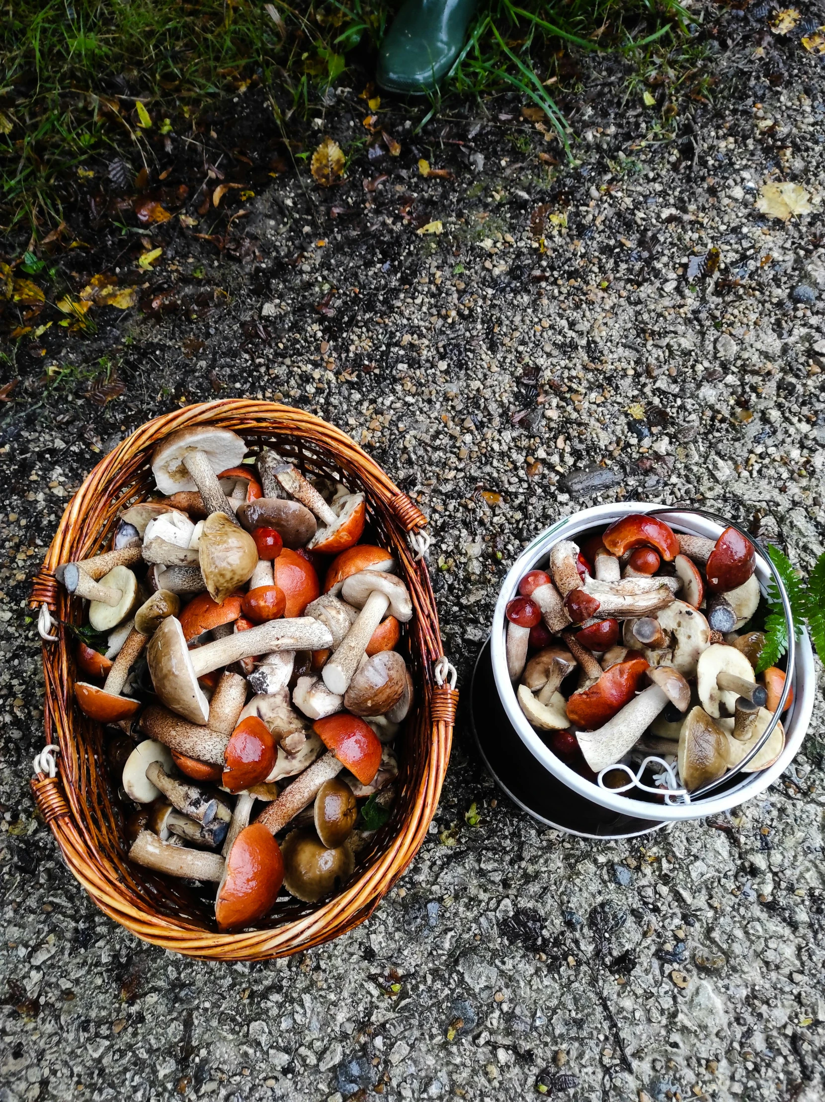 mushrooms in baskets that have just been chopped up