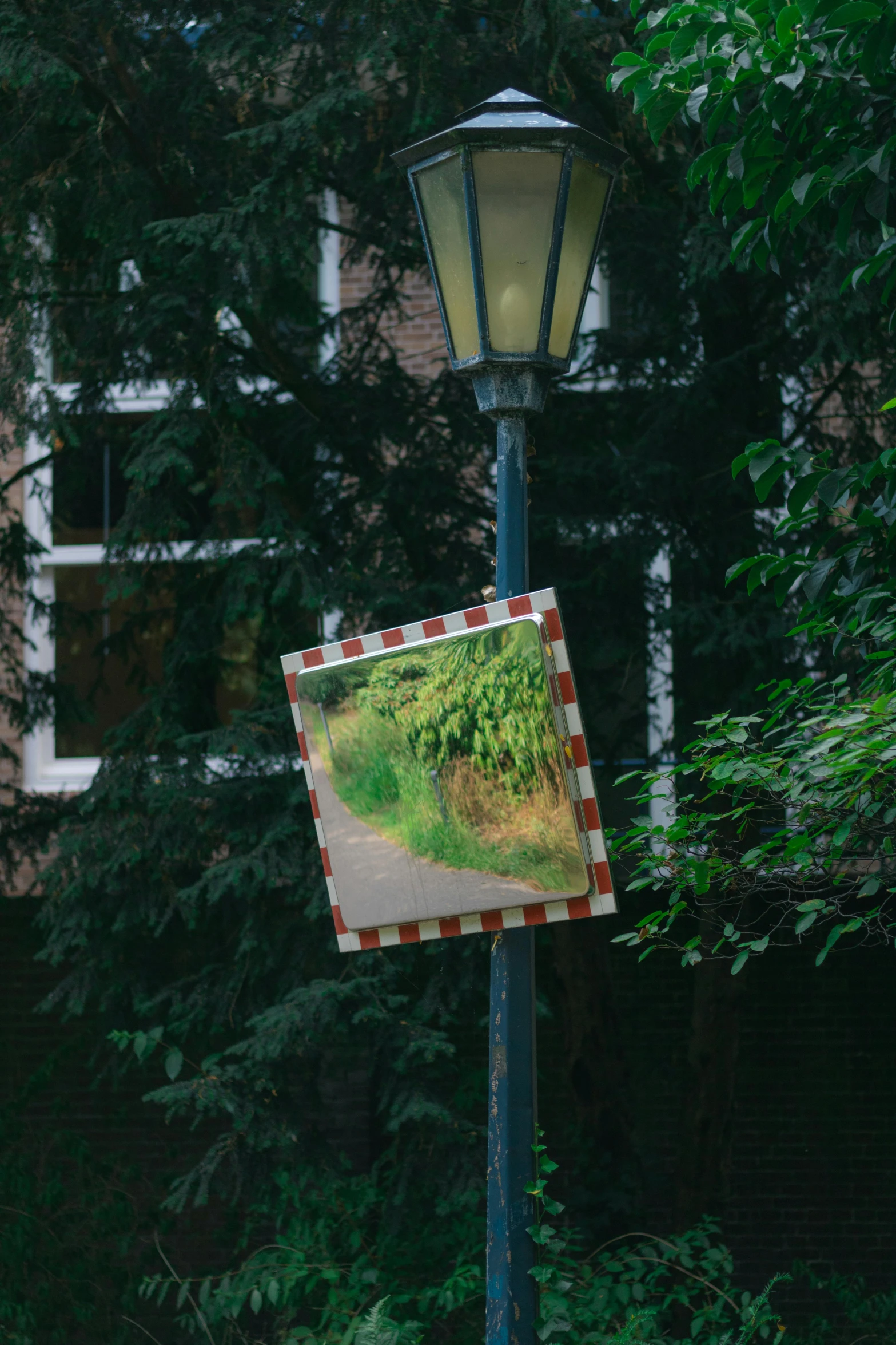 a pograph of plants on a post next to a street lamp